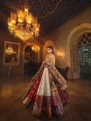 Regal Heritage Patchwork Chaniya Choli – A Tapestry of Tradition and Elegance